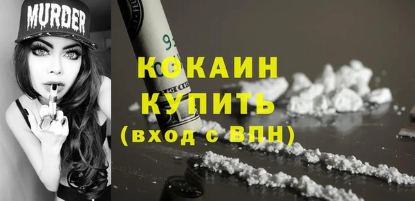стафф Михайлов